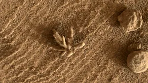 Surpriza de pe Marte. Roverul Curiosity a găsit o ”floare marţiană” mai mică decât o monedă