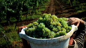 Zilierii nu vor pierde dreptul la ajutor social. Plata pe oră nu poate fi mai mică de 4,74 lei