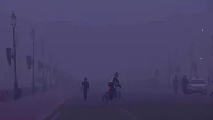 Ceaţă foarte deasă în regiunile nordice ale Indiei. Peisajul din New Delhi pare ireal

