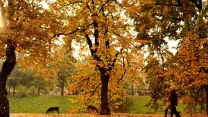 METEO Minimele coboară până la 2 grade în întreaga ţară. Cum va fi vremea la început de octombrie