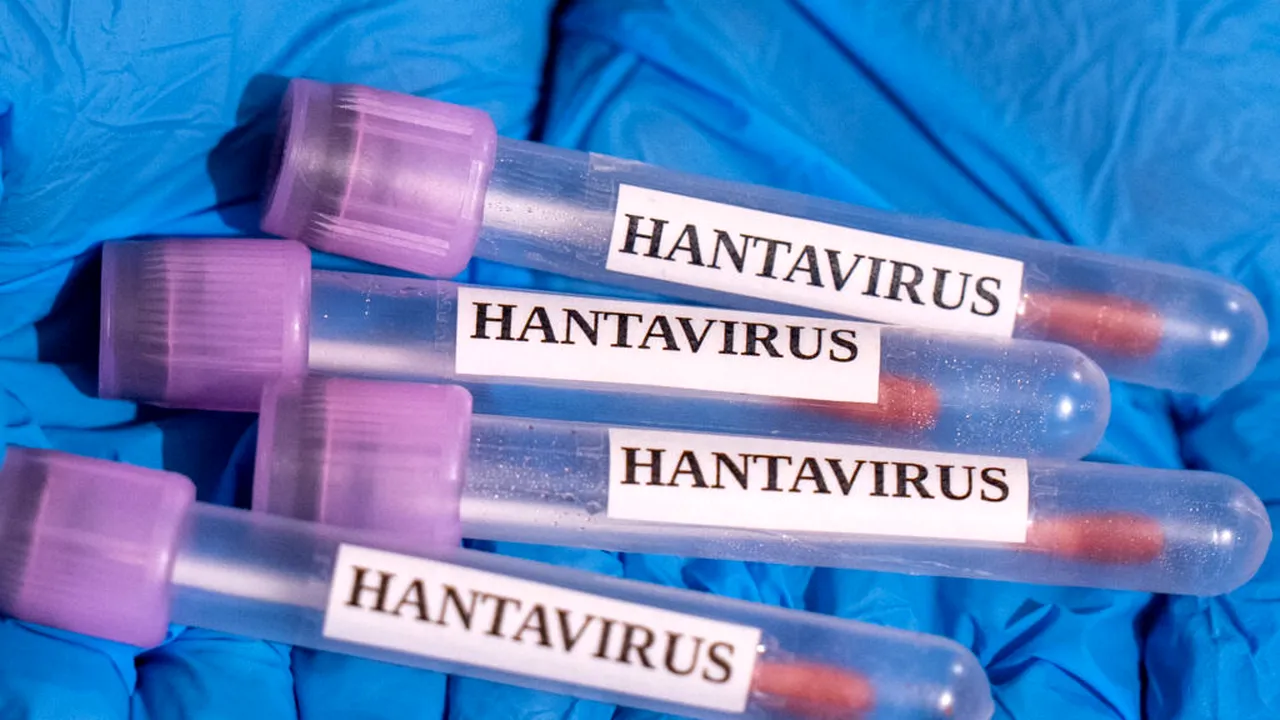 A vrut să vadă pinguini și balene. A ajuns medicul navei în mijlocul unui focar mortal de hantavirus