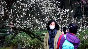 Niciun deces nou din cauza Covid-19 raportat în China, pentru prima dată din ianuarie 