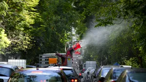 Primăria Municipiului Bucureşti anunţă intensificarea tratamentelor pentru combaterea ţânţarilor purtători de West Nile