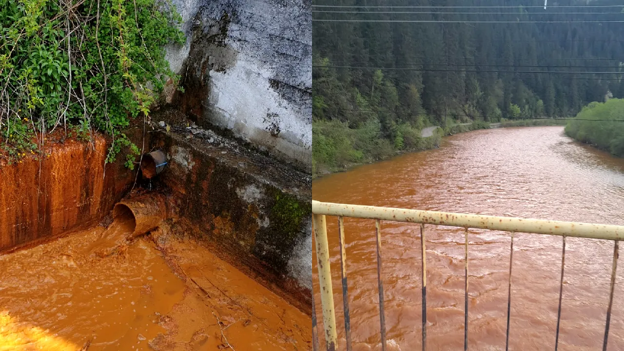 Comitet pentru situaţii de urgenţă din cauza poluării pe Bistriţa: depăşiri pentru fier, zinc, cupru / Un mesaj Ro-Alert a fost emis 
