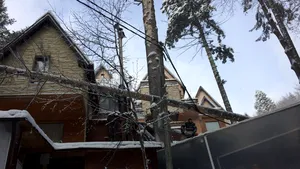 Copaci doborâţi de vânt în Sinaia. Pomii au căzut şi pe terasa unui hotel de lux, dar şi peste o casă | FOTO