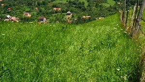 Satul Nadăş revine locuitorilor săi după 11 ani de procese