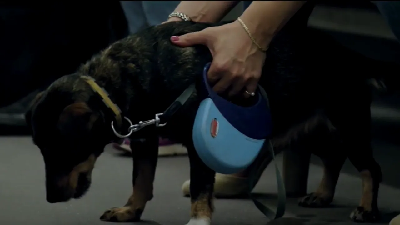 VIDEO #dogpoopgirl, la Festivalul de Film de la Moscova. Lungmetrajul de debut al regizorului Andrei Huţuleac e inspirat din fapte reale