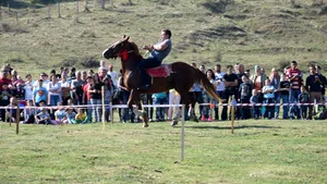 Alba: Concursuri hipice, de viteză şi tracţiune, dar şi grătare la ”Tropote în Ţara Vinului” - GALERIE FOTO, VIDEO