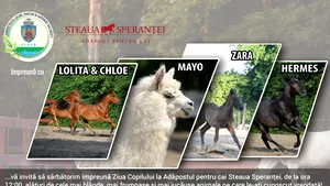 Copiii sunt aşteptaţi să sărbătorească 1 Iunie împreună cu caii de la Adăpostul 
