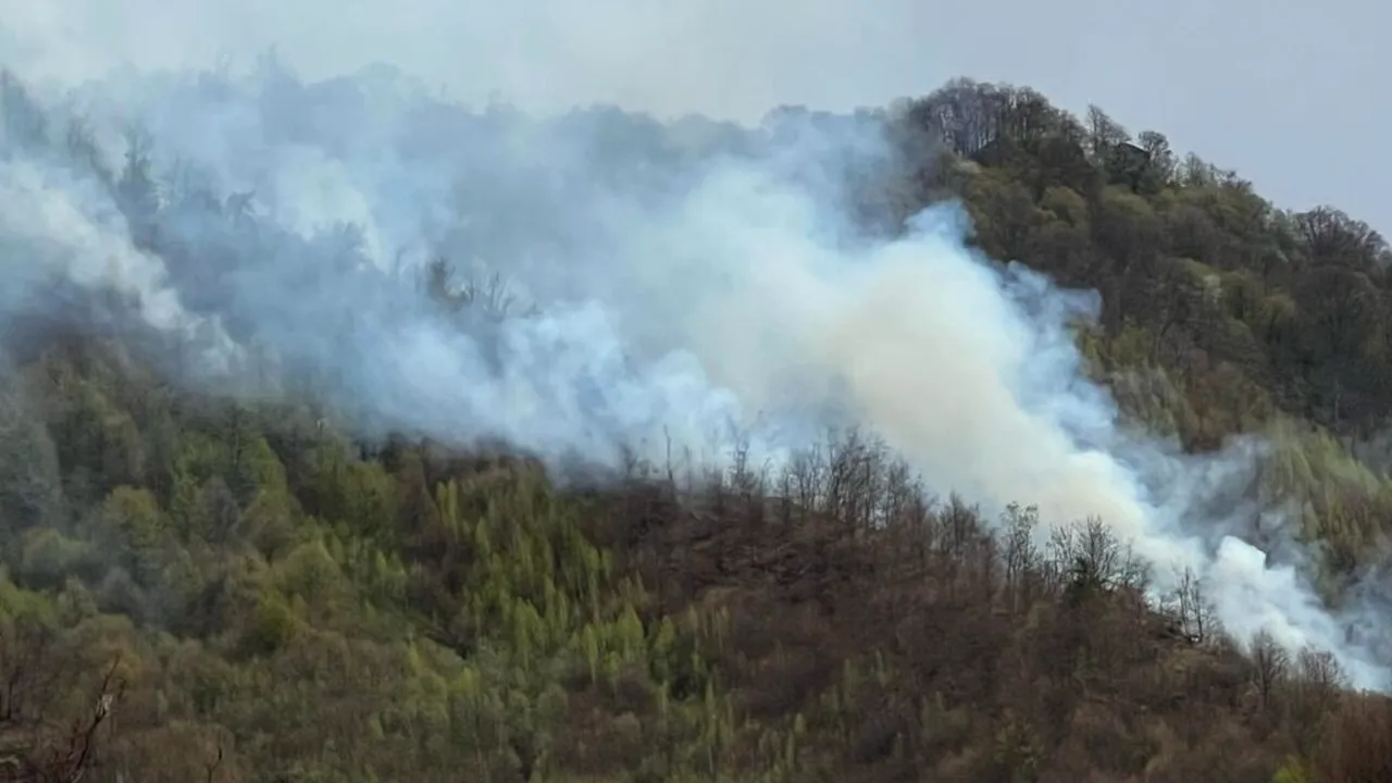 Incendiul de pădure din Argeş. Peste o sută de oameni acţionează în prima zi de Paşte / Incendiul pare să fi fost provocat de „o neglijenţă umană” 