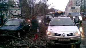Incidente din cauza vântului: Un copac a căzut peste opt maşini pe Şoseaua Ştefan cel Mare. Trei stâlpi de electricitate au căzut pe o stradă din Sectorul 5
