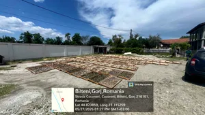 Afaceri de 13 milioane de lei prin exploatarea ilegală a 64 de tone de trufe