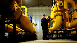 Videanu: Energia şi gazul au stopat anul trecut căderea economică a României