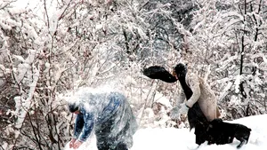 Bătaie pornită de la un bulgăre de zăpadă, la Suceava