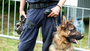 Minor dat dispărut în urmă cu 2 ani, găsit în dulapul unui pedofil