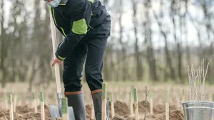 COMENTARIU Lelia Munteanu: Soluţie bună în continuare, domnule Preşedinte! 