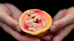 Protecţia Consumatorilor Arad face verificări după ce o femeie a găsit un vierme într-o prăjitură 