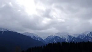 Cod galben de vânt și viscol în Carpați. Strat consistent de zăpadă în zonele montane