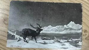 O felicitare de Crăciun a sosit la destinaţie după 121 de ani: a fost pusă la Poştă în 1903