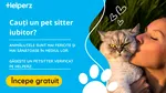 Gata cu grija animalelor de companie în vacanță: Helperz.ro lansează noul serviciu de Petsitting