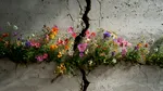 Ar putea avea loc un cutremur puternic la Madrid? Ce arată noua hartă a riscului seismic publicată în Monitorul Oficial al Spaniei