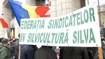 Sindicatele din silvicultură contestă reorganizarea Romsilva. Federația SILVA a sesizat CSAT
