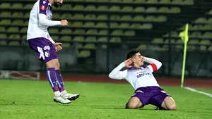 Executivul aprobă indicatorii tehnico-economici ai stadionului Nicolae Dobrin din Piteşti