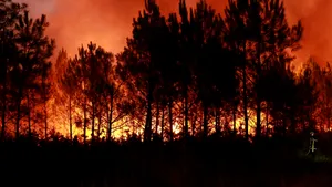 Reportaj AP: Un iepure și 220.000 de francezi evacuați. O mamă și fiica ei au fugit din calea flăcărilor