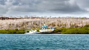 Sute de vase de pescuit chinezeşti acţionează ilegal în largul Insulelor Galapagos. Ecosistemul este pus în pericol