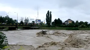 Olt: Sute de hectare de păşune, inundate de apele Dunării