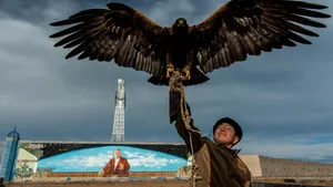 Premiile de Fotografie 