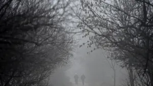 Cod galben de ceaţă în Bucureşti şi în 10 judeţe, până la ora 6.00