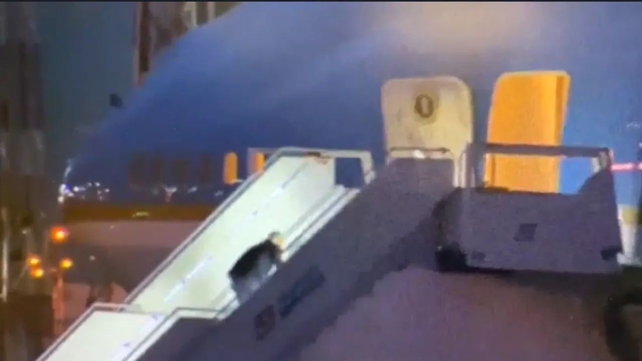 Biden se împiedică şi cade în timp ce urcă pe scara Air Force One