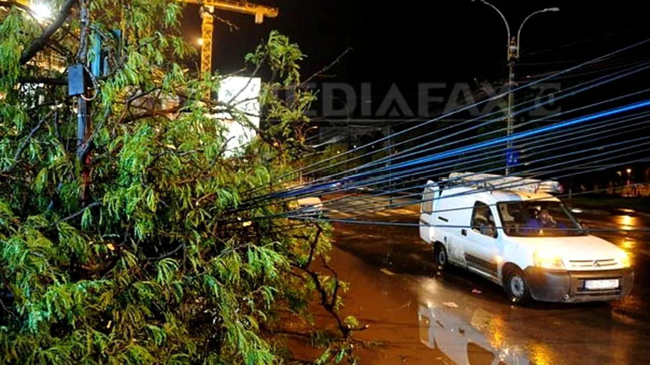 Peste 40 de localităţi din Arad, Hunedoara şi Timiş nu au curent electric din cauza vijeliilor