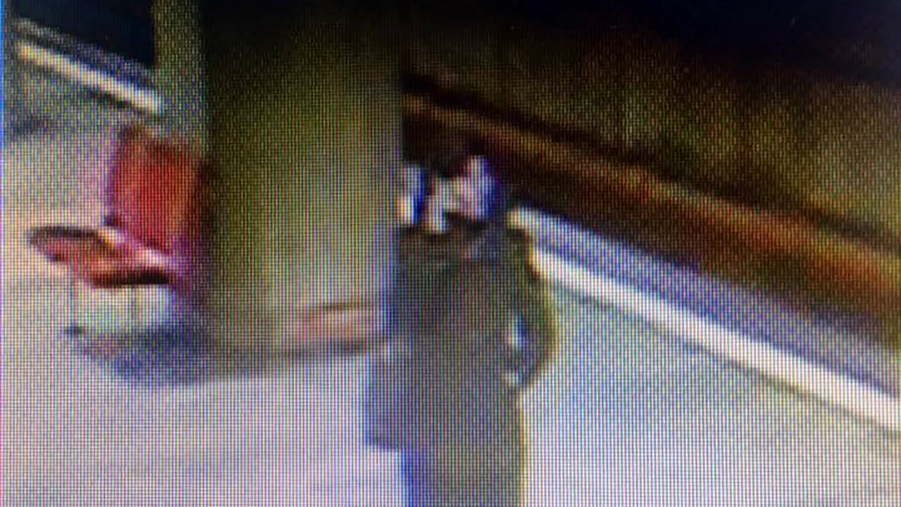 Părerea unui psiholog, despre crima de la metrou: Ancheta va decurge greu. Agresoarea trece de la logic la absurd