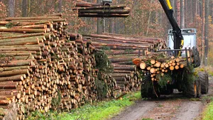 Vrancea: Focuri de armă pentru prinderea unor hoţi de lemne. Poliţiştii au reţinut două persoane