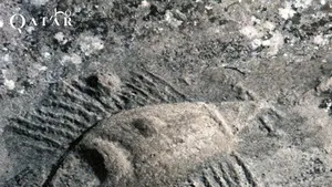 Simboluri misterioase în deşertul din Qatar. Acestea pot fi văzute doar de la înălţime