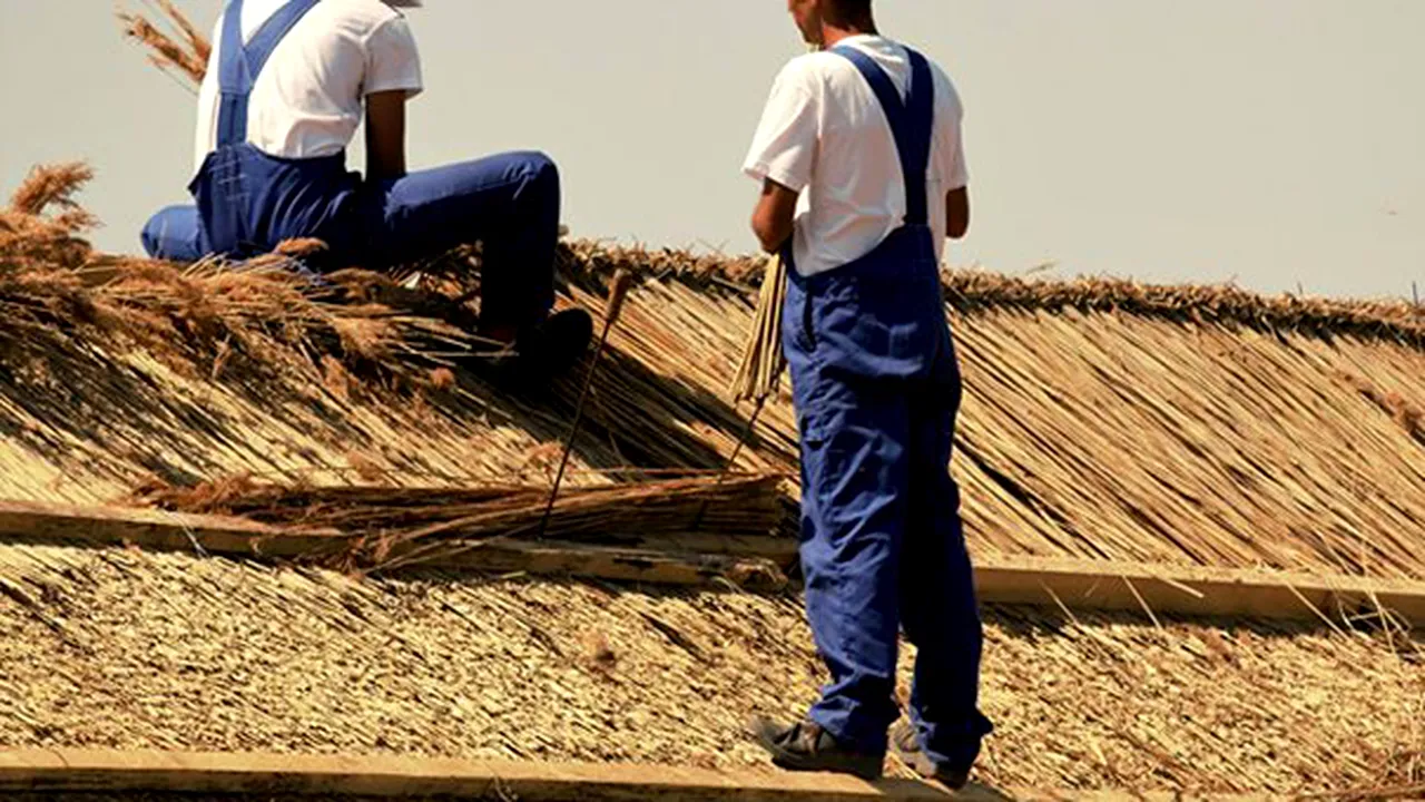 PROIECT al Penitenciarului Tulcea: Deţinuţii învaţă meserii tradiţionale şi construiesc case ecologice în Delta Dunării