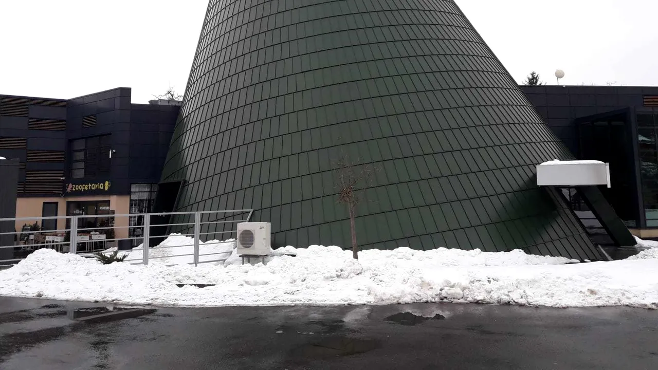 Trei noi specii de maimuţe, dintre care una specie unicat în România, pot fi vizitate la o grădina zoologică din ţara noastră | FOTO