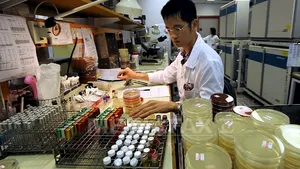 Primul caz de gripă aviară la om, depistat în Hong Kong, din 2003