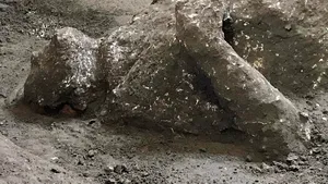 INEDIT. Corpurile aproape intacte a doi bărbaţi care fugeau de erupţia vulcanului au fost descoperite la Pompei