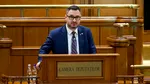Vicepreședintele AUR Dan Tănasă, despre imigrația din România: „Nu vreau să văd picior de azilant și de refugiat în România. Niciunul, fraților!”