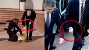 Codruţ, câinele Maiei Sandu, l-a muşcat de mână pe preşedintele Austriei / Liderul de la Viena a avut nevoie de pansamente