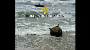 Mină marină descoperită de poliţiştii de frontieră pe plajă, în zona localităţii Sfântul Gheorghe