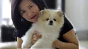 A murit câinele testat pozitiv cu coronavirus. Era bătrân şi suferea de alte boli