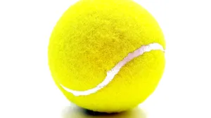 Oricine urcă într-un avion este îndemnat să aducă o minge de tenis