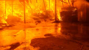Incendiu de amploare la o fabrică de sicrie din Bihor