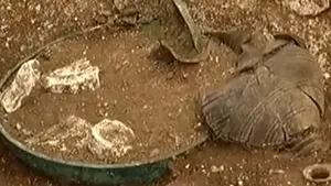 Un mormânt celtic vechi de 2.500 de ani, descoperit în Franţa - VIDEO