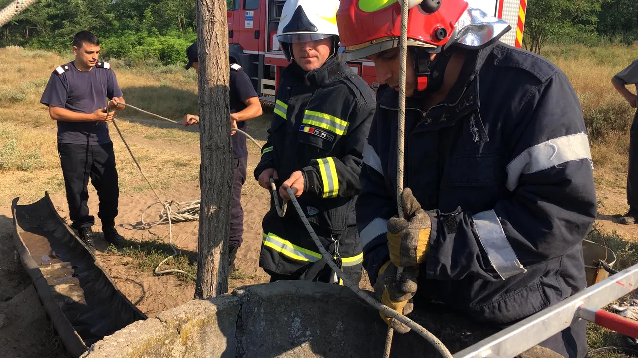 Caz cutremurător: Doi ciobani au fost găsiţi înecaţi într-o fântână de lângă o stână, în  Dolj