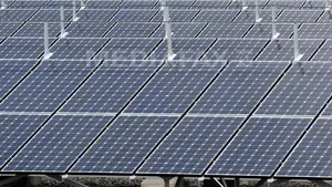 Senatul a respins reexaminarea OUG privind producerea energiei din surse regenerabile